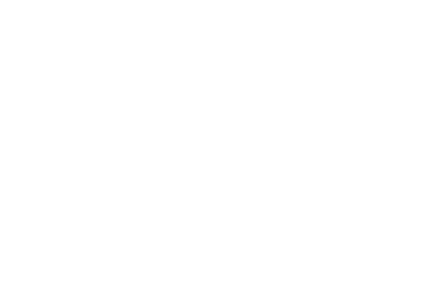 ACV-Logo-WH