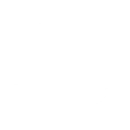 anchor and flag